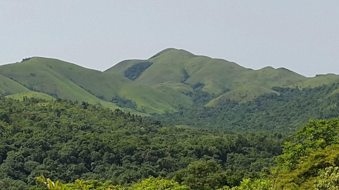 Aroha'S Eco Hill Resort Sakleshpur Exterior photo