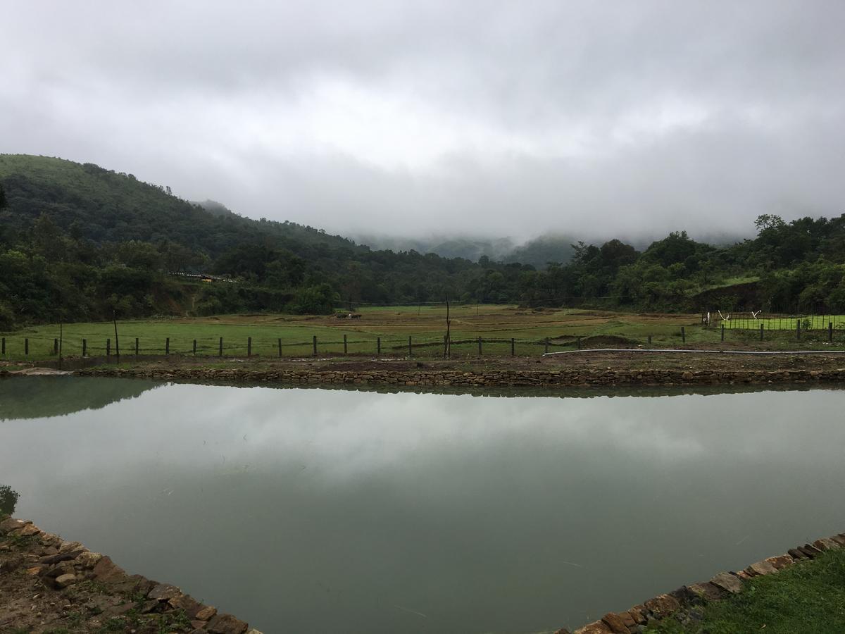 Aroha'S Eco Hill Resort Sakleshpur Exterior photo